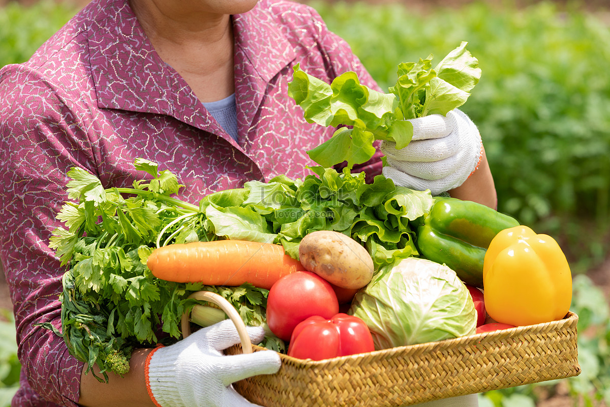 Veggies Image